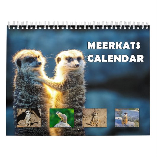 Meerkats Kalender (Titelbild)