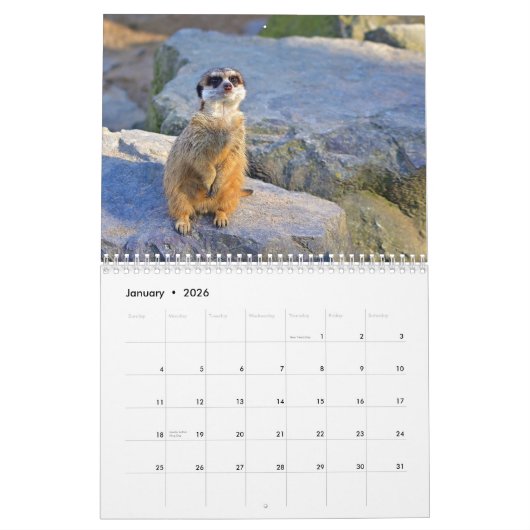 Meerkats Kalender (Jan 2026)