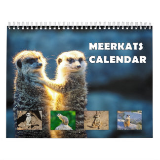 Meerkats Kalender