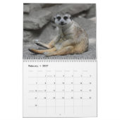 Meerkats Kalender (Feb 2027)