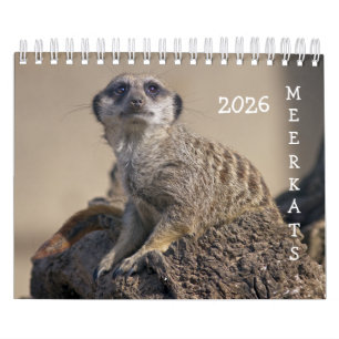 Meerkats-Kalender 2025 Kalender