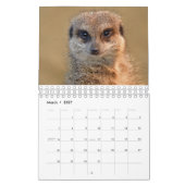 Meerkats-Kalender Kalender (Mär 2027)