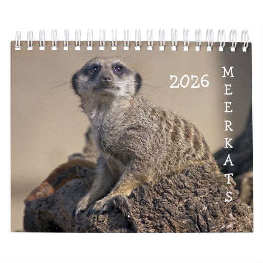 Meerkats-Kalender Kalender (Titelbild)