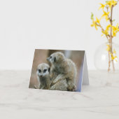 Meerkats Karte (Gelbe Blume)
