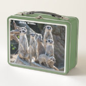Meerkats Metall Brotdose (Vorderseite)