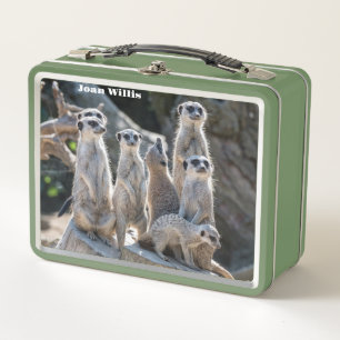 Meerkats Metall Brotdose