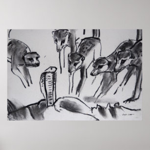 Meerkats mobbing Kobra - Kunst-Druck Poster