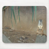 Meerkats Mousepad (Vorne)