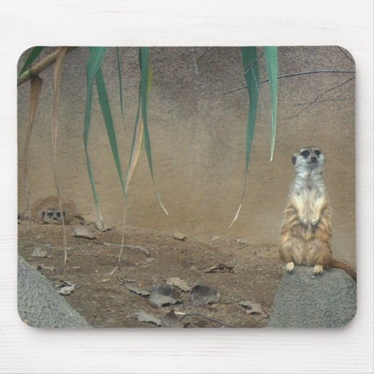 Meerkats Mousepad (Vorne)