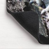 Meerkats Mousepad (Ecke)