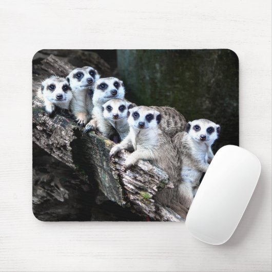 Meerkats Mousepad (Mit Mouse)