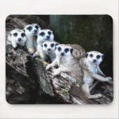 Meerkats Mousepad (Vorne)