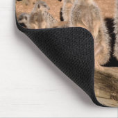 Meerkats Mousepad (Ecke)