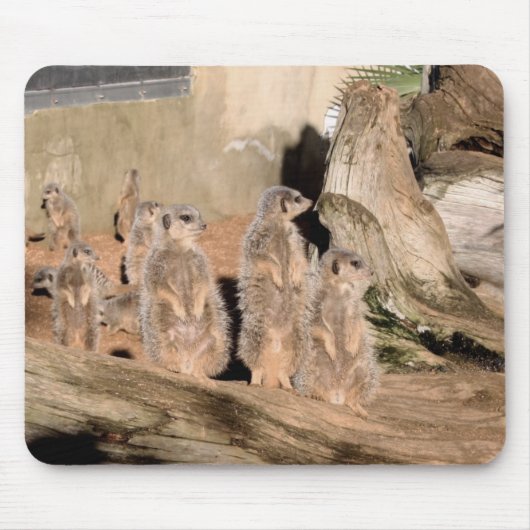 Meerkats Mousepad (Vorne)