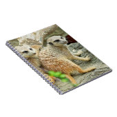 Meerkats - Notebook Notizblock (Rechte Seite)