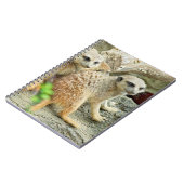 Meerkats - Notebook Notizblock (Linke Seite)
