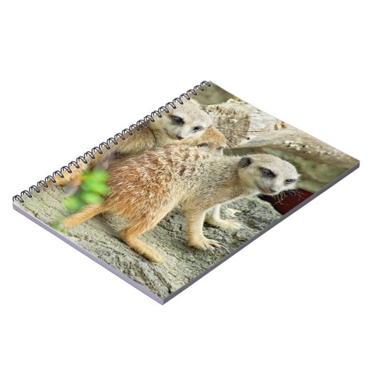 Meerkats - Notebook Notizblock (Linke Seite)