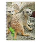 Meerkats - Notebook Notizblock (Vorderseite)