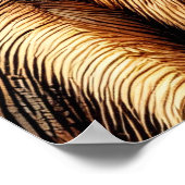 Meerkats Poster (Ecke)