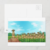 Meerkats Postkarte (Vorne/Hinten)