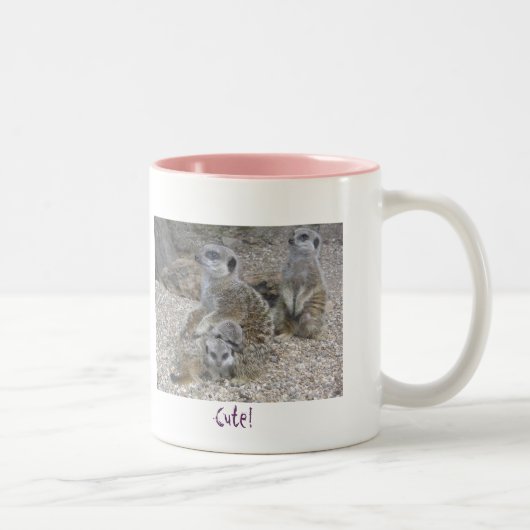Meerkats Regel-Tasse Zweifarbige Tasse (Rechts)