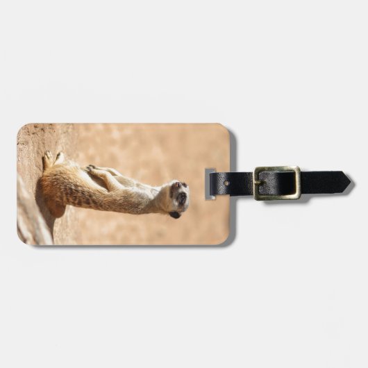 Meerkats sind cool gepäckanhänger (Vorderseite horizontal)