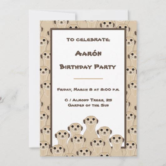 Meerkats - Suricata (Rückseite)