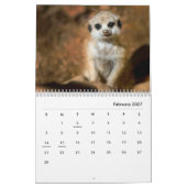 Meerkats Wall Calendar Kalender (Feb 2027)