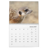 Meerkats Wall Calendar Kalender (Jan 2027)