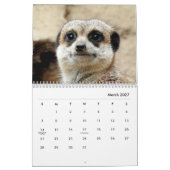 Meerkats Wall Calendar Kalender (Mär 2027)