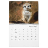 Meerkats Wall Calendar Kalender (Feb 2026)