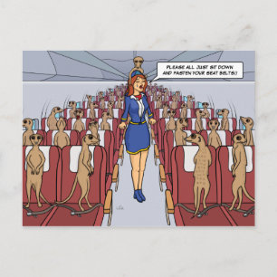 Meerkats, wir haben Plane Postcard Postkarte