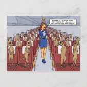 Meerkats wir haben Plane Postcard Postkarte (Vorderseite)