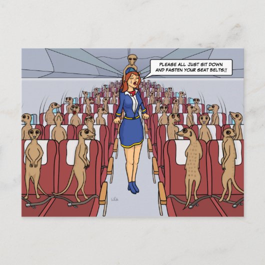 Meerkats wir haben Plane Postcard Postkarte (Vorderseite)