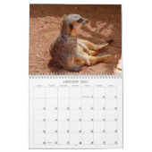 Meerkats with Style Australian Holidays 2019, Kalender (Jan 2027)