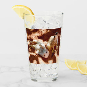 Meerkatzen-Spieltag, Glas