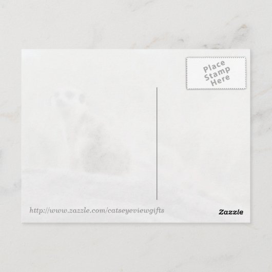 Meerkcat (0447) Postkarte (Rückseite)