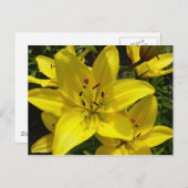 Meerkerk Gardens Postkarte (Vorne/Hinten)