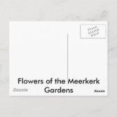 Meerkerk Gardens Postkarte (Rückseite)