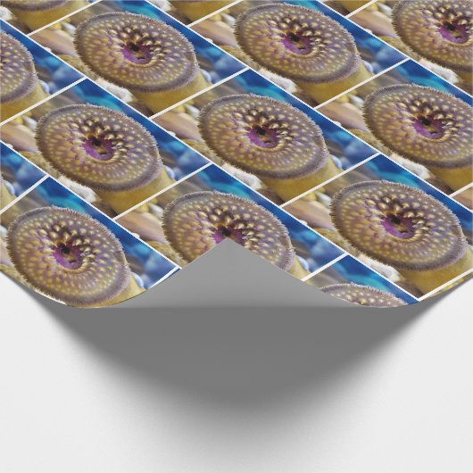 Meerlamopie nah geschenkpapier (Ecke)