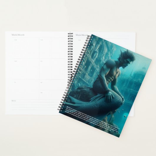 Meermann-Kalender Planer (Anzeige)
