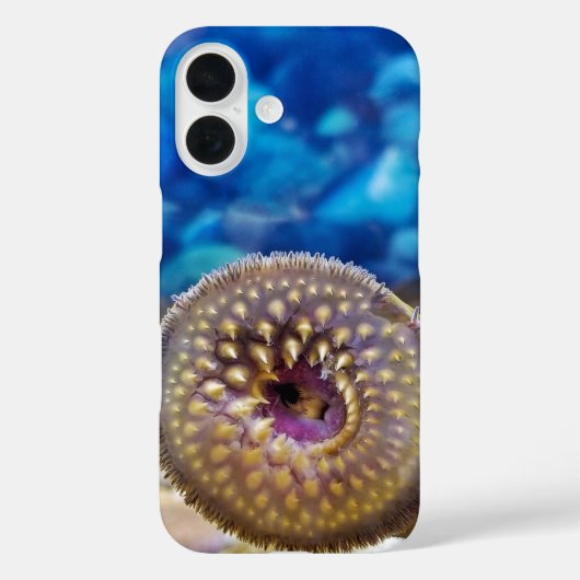Meerneunauge Case-Mate iPhone Hülle (Rückseite)