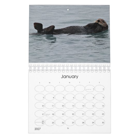 MeerOtterliscious 2013 Kalender (Jan 2027)