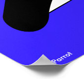 Meerpapagei Poster (Ecke)