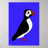 Meerpapagei Poster (Vorne)