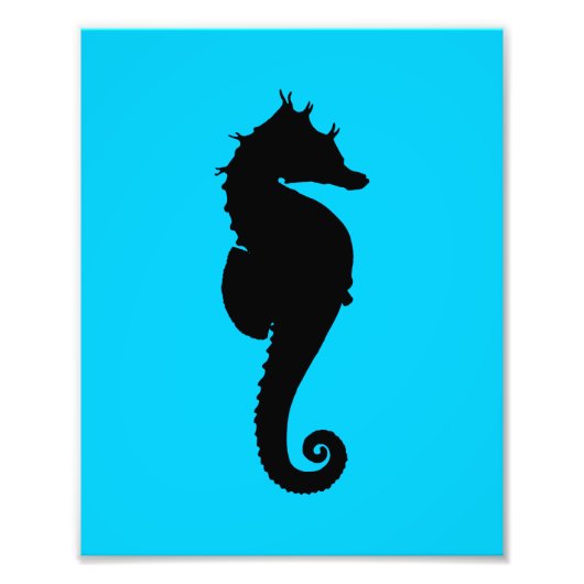 Meerpferd Fotodruck (Vorne)