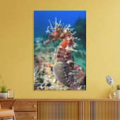 Meerpferd | Hippocampus Ramulosus Leinwanddruck (Insitu (Wohnzimmer))