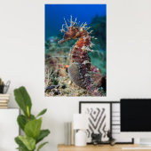 Meerpferd | Hippocampus Ramulosus Poster (Heimbüro)