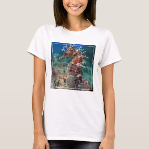 Meerpferd Hippocampus Ramulosus T-Shirt