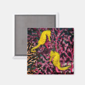 Meerpferd | Hippocampus Taeniopterus Magnet (Vorderseite/Rückseite)